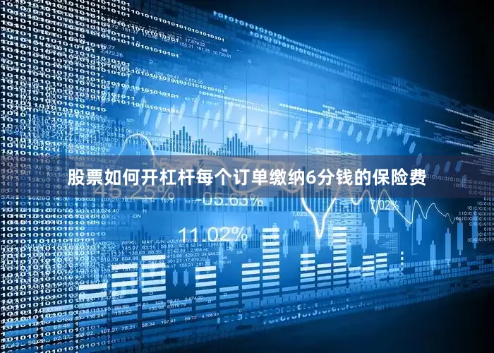 股票如何开杠杆每个订单缴纳6分钱的保险费
