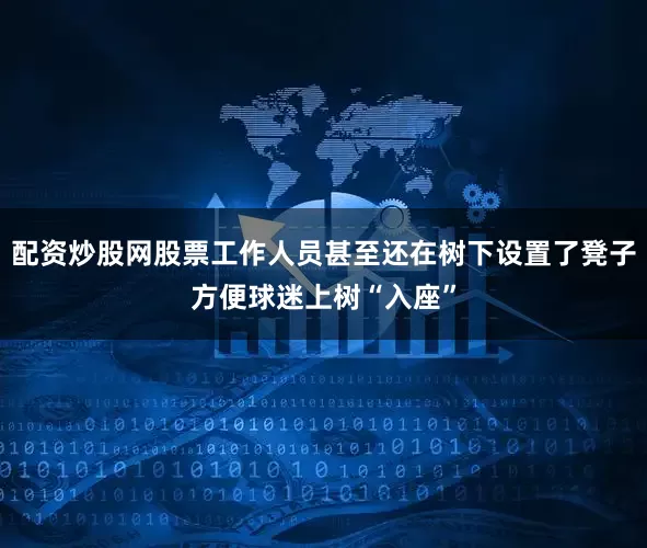 配资炒股网股票工作人员甚至还在树下设置了凳子方便球迷上树“入座”