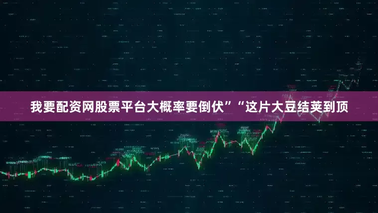 我要配资网股票平台大概率要倒伏”“这片大豆结荚到顶