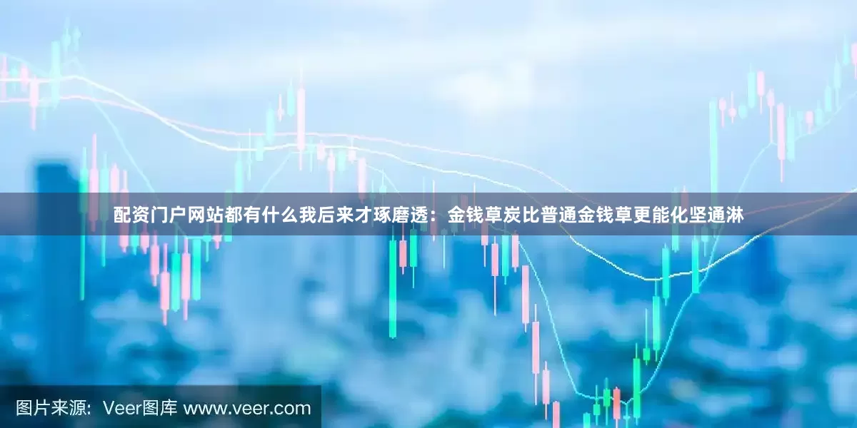 配资门户网站都有什么我后来才琢磨透:金钱草炭比普通金钱草更能化坚通淋